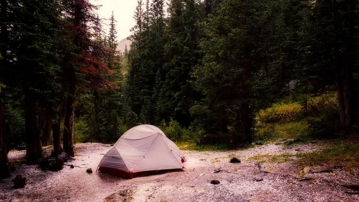 Stilles Camp im Wald