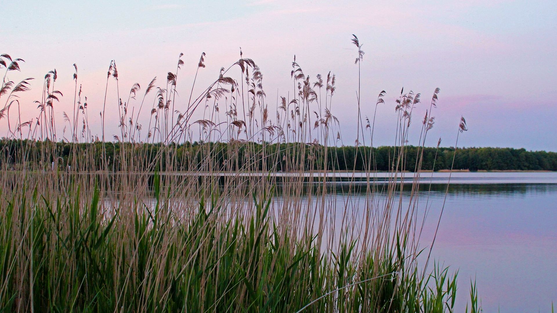 Naturlandschaft — Retreat an den weiten Seen Mecklenburgs